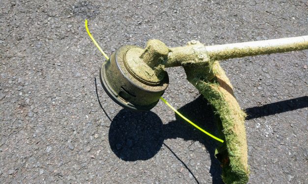 Replace string in Stihl line trimmer