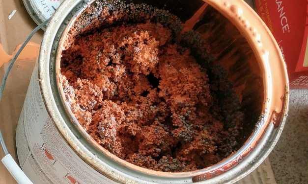 How to dispose of old paint