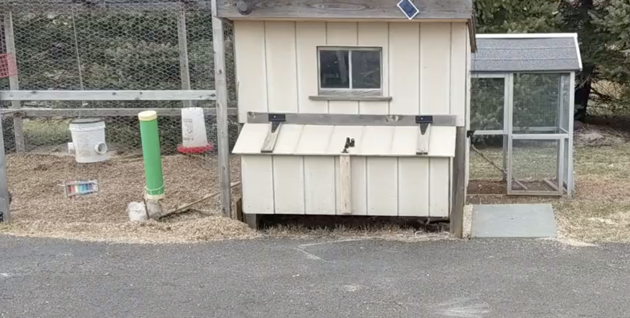 Getting high tech with my chicken coop
