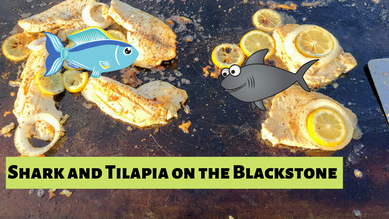 Shark and Tilapia on the Blackstone Griddle Rob's Backyard BBQ