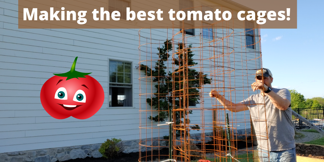 Making the best tomato cages