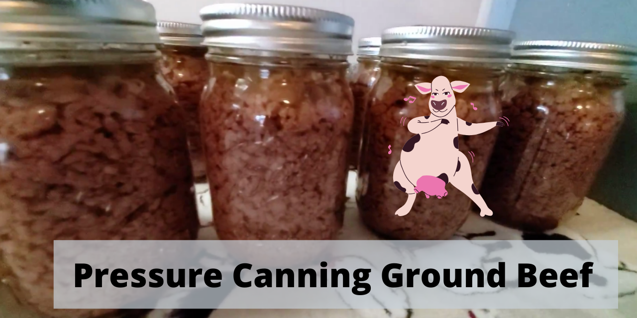 Pressure Canning Ground Beef – Stop using your freezer for beef!