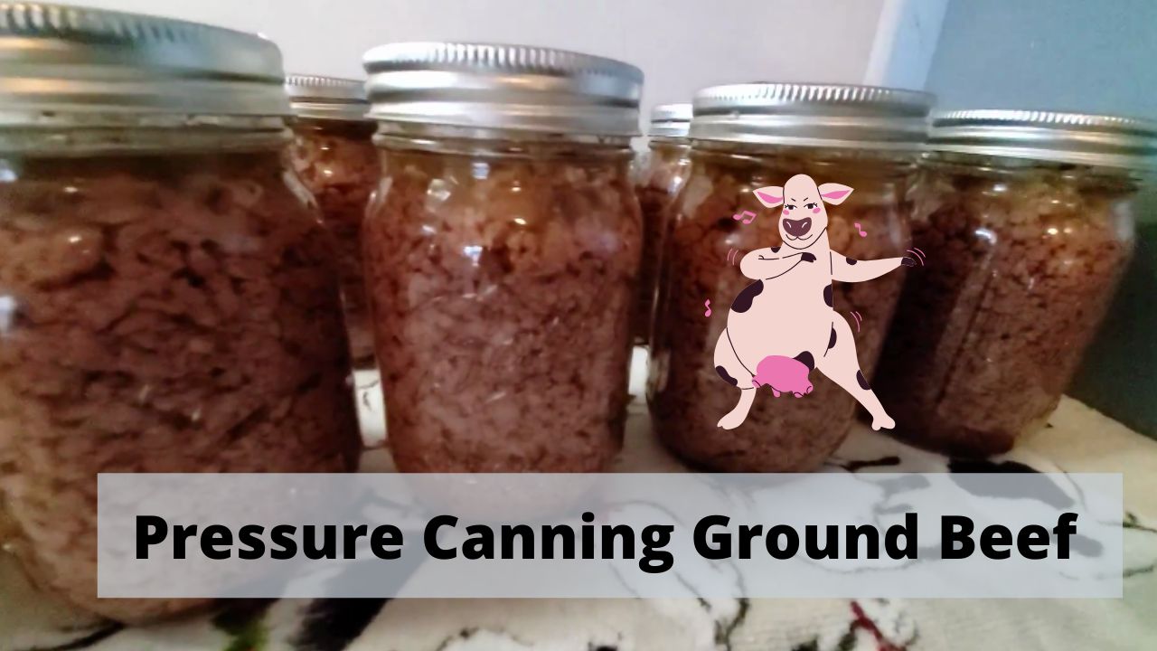 Pressure Canning Ground Beef Stop using your freezer for beef! Rob