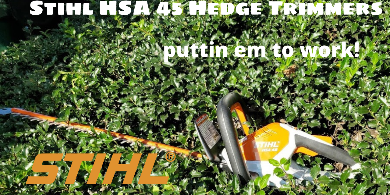 Stihl Hedge Trimmers HSA 45 Review
