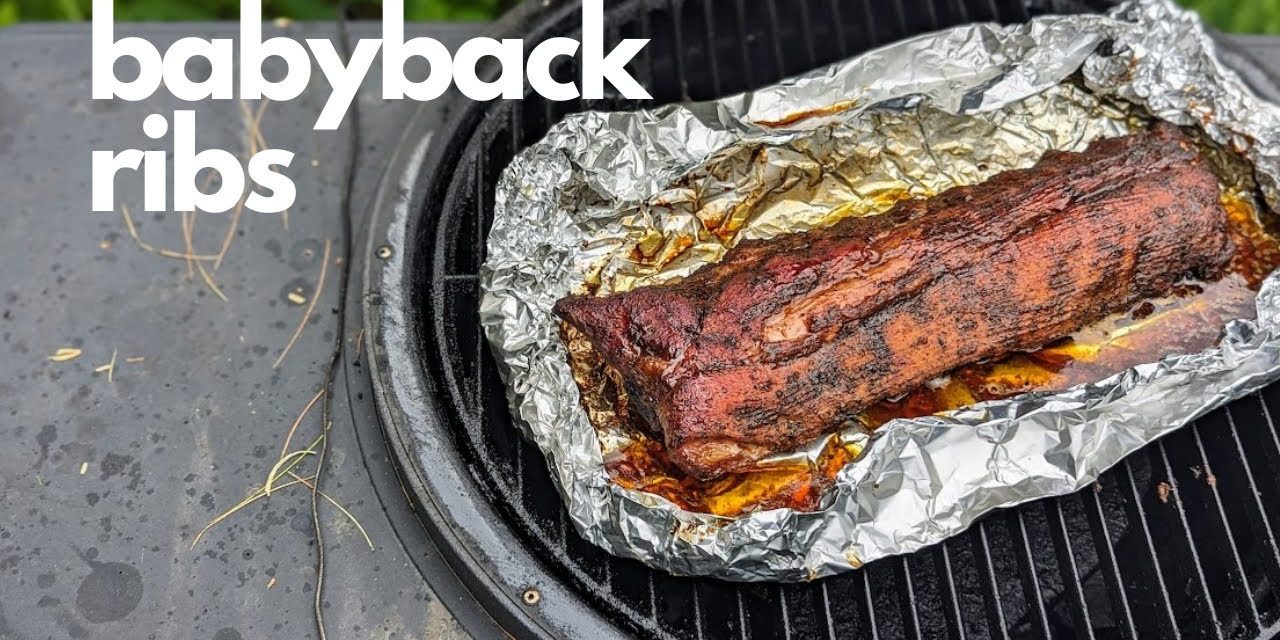 Partially Frozen Baby Back Ribs and Smoker Malfunction