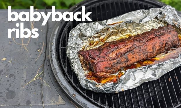 Partially Frozen Baby Back Ribs and Smoker Malfunction